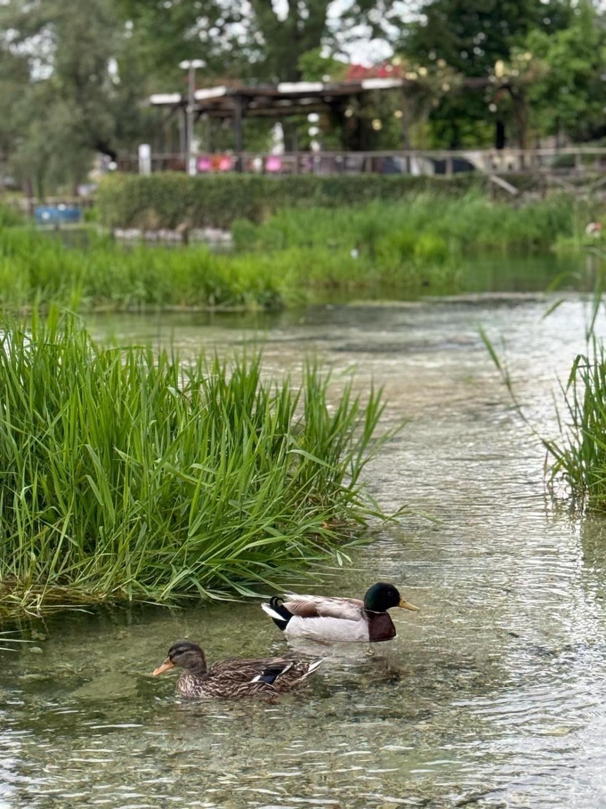 Alla Posta Matrimoniale Relax Posta Fibreno Exterior foto